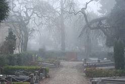 Begraafplaats Zorgvlied