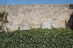 Vincent en Theo van Gogh