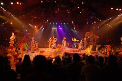 Lion King cast Disney Animal Kingdom Orlando