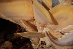 Beeldentuin Antwerpen